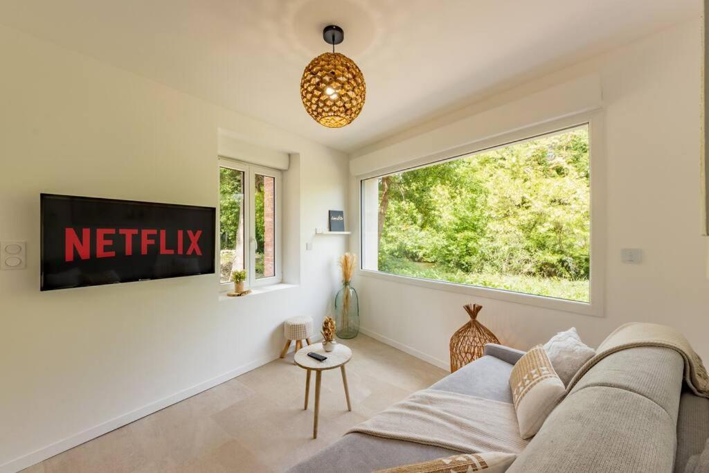 Le Rivera - Clim - Parking - Netflix - Nestor & Margot Auterive  エクステリア 写真